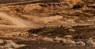 亚冠精英联赛：上海申花无缘八强 中超球队全部出局